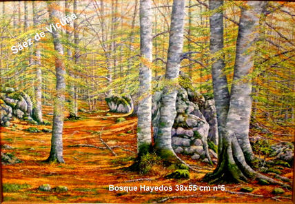 Bosque Hayedos...