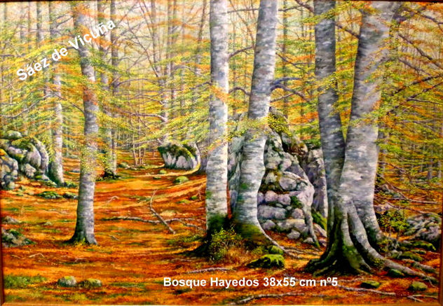 Bosque Hayedos 38x55 cm nº 5