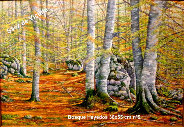 Bosque Hayedos 38x55 cm nº 5 Óleo Lienzo Paisaje