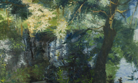Pond, Water Lilies