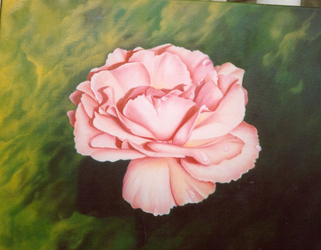 "Rosa rosa" Oil Canvas Floral Painting