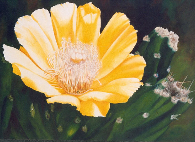 "Calidez" Óleo Lienzo Floral