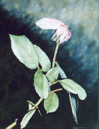 "Transformacion" Oil Canvas Floral Painting