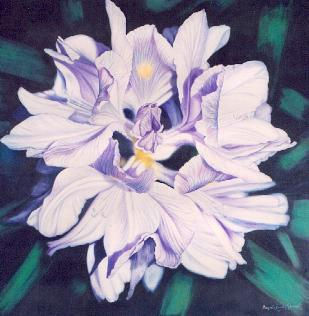 "Camalote" Oil Canvas Floral Painting