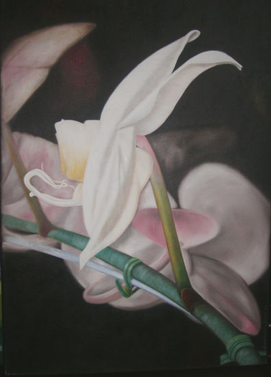 "Orquidea blanca" Oil Canvas Floral Painting