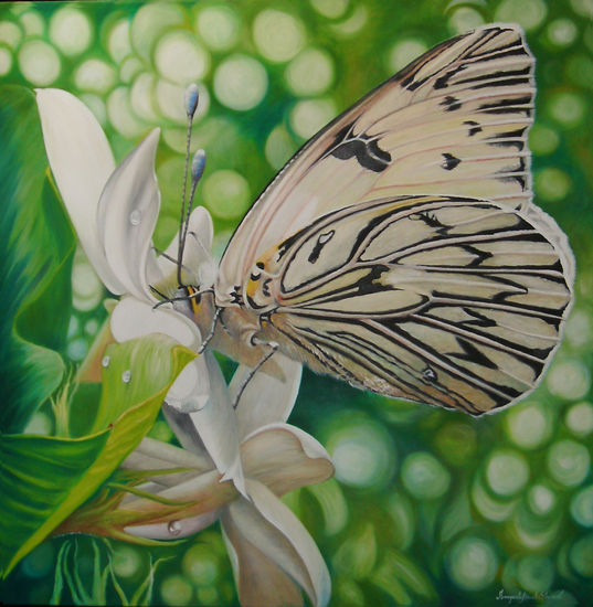 "Papillon" Oil Canvas Floral Painting