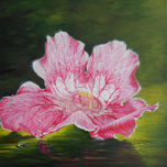 FLORES thumbnail 1