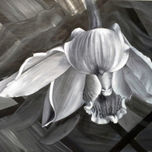 MONOCROMATICOS thumbnail 1