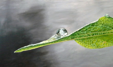 GOTAS