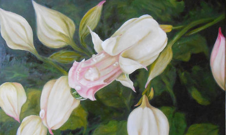 FLORES