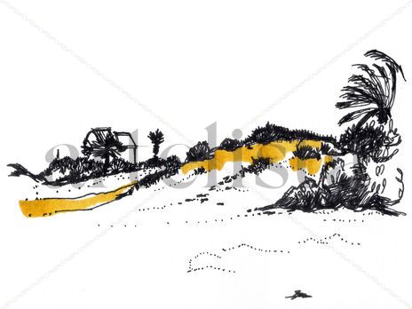 Palmeras y dunas