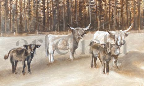 Animales