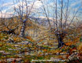 Monte Gorbea (Álava) 27x35cm nº11.Óleo/Lienzo