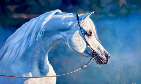 Caballos