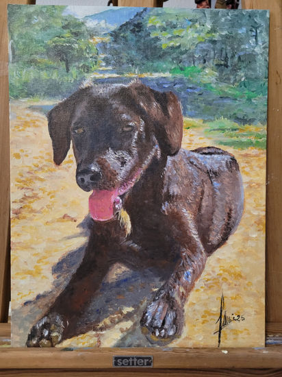 Labrador Acrylic Canvas Animals