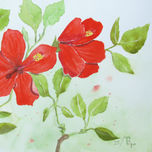 florales thumbnail 2