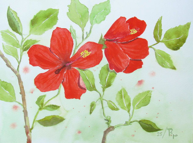 hibiscos rojos Acuarela Papel Floral
