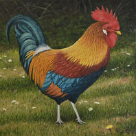 obra