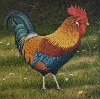 Gallo ii