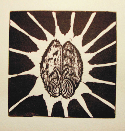 Luz parietal Linograbado