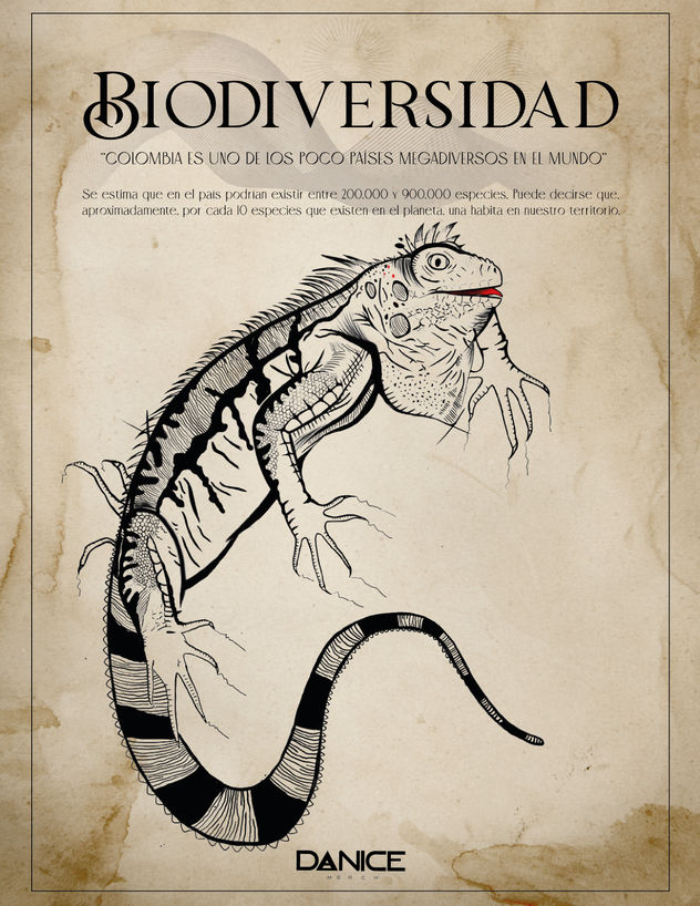 Iguana verde BIODIVERSIDADCOLOMBIANA