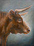Retrato de Toro