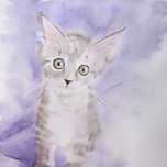 felinos thumbnail 2