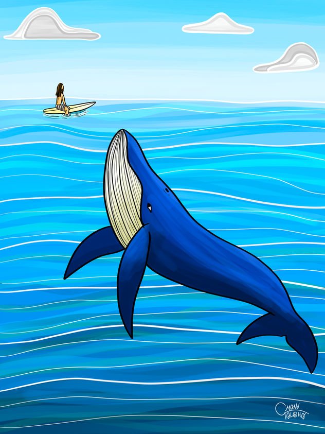 El surfista y la ballena