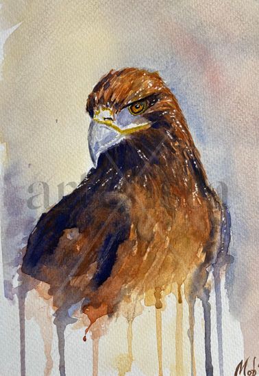 Águila imperial Acuarela Papel Animales