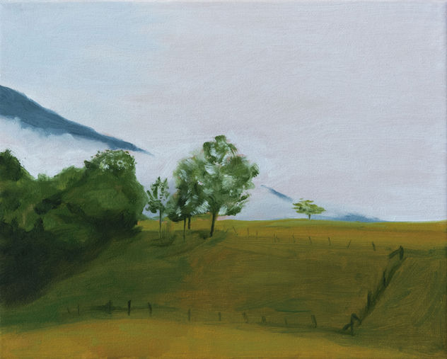 Rolling Hills and Morning Mist