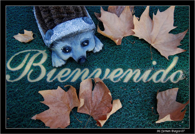 Pre-otoño Bodegones Color (Digital)