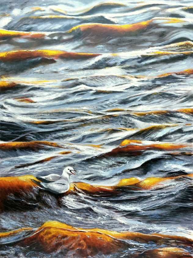OLAS ENCRESPADAS EN LA ALBUFERA