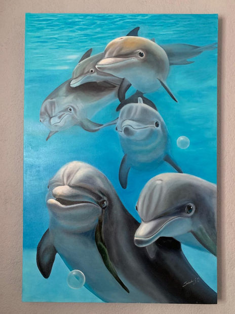 La pandilla delfin