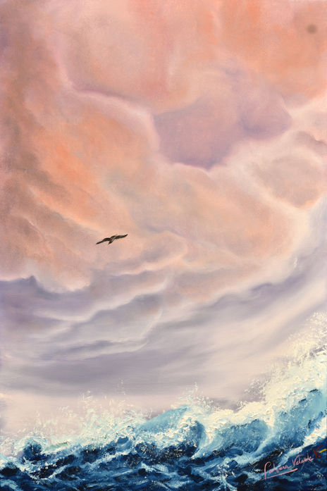 Gaviota solitaria