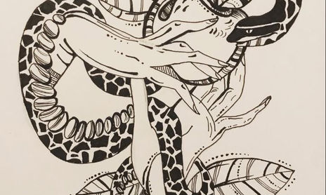 Tintas