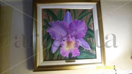 ORQUIDEA...