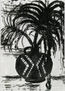 Palmera 1