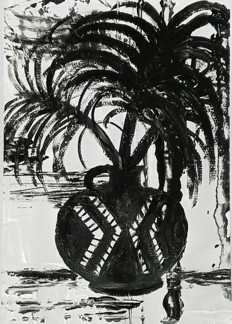 Palmera 1
