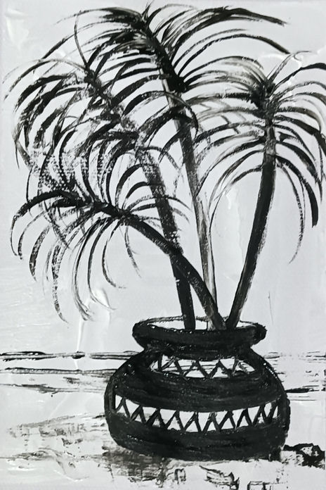 Palmera 2