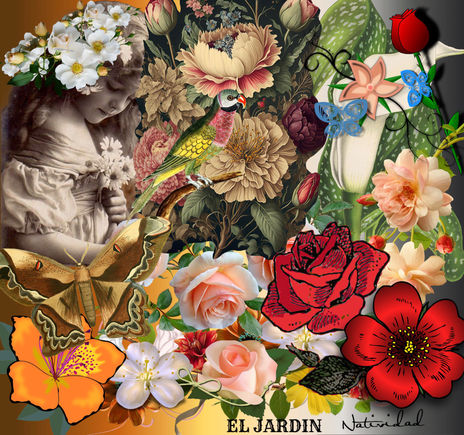 El jardin