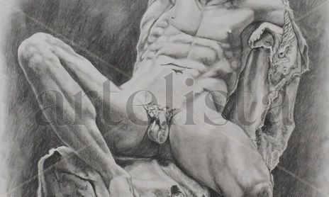 Desnudos