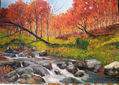 Río rocoso en otoño