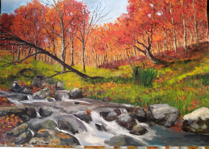Río rocoso en otoño