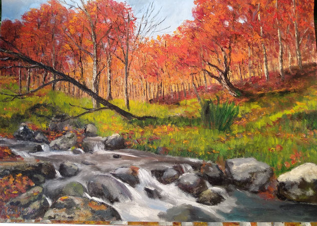 Río rocoso en otoño Oil Panel Landscaping