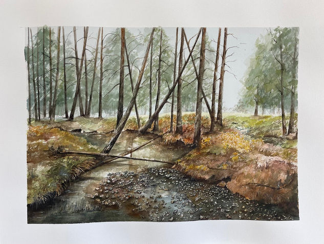 PEGUERINOS Watercolour Paper Landscaping