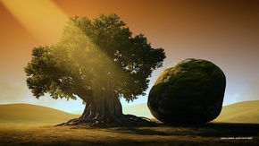 Árbol y piedra