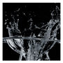 Splash