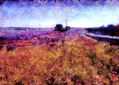imprexpresionismo - Contraluces en un prado