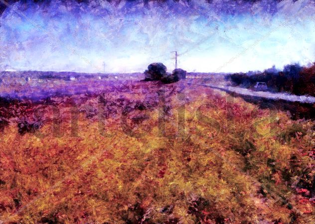 imprexpresionismo - Contraluces en un prado