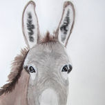 animales thumbnail 1